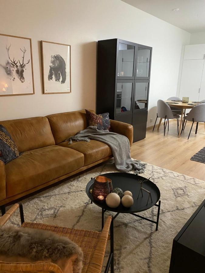 Amazing City Center Apartment Rovaniemi Eksteriør bilde